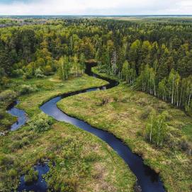  самоизоляция в лесу, поход по Мещере, день третий 