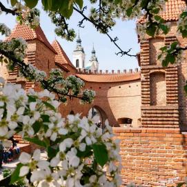 Лоукостеры Европы и нормы провоза ручной клади✈️ Спасибо за ❤️ и не забудь сохранить к себе 