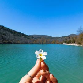 Кипарисы, растущие из воды - озеро Сукко, уникальное место Краснодарского края 