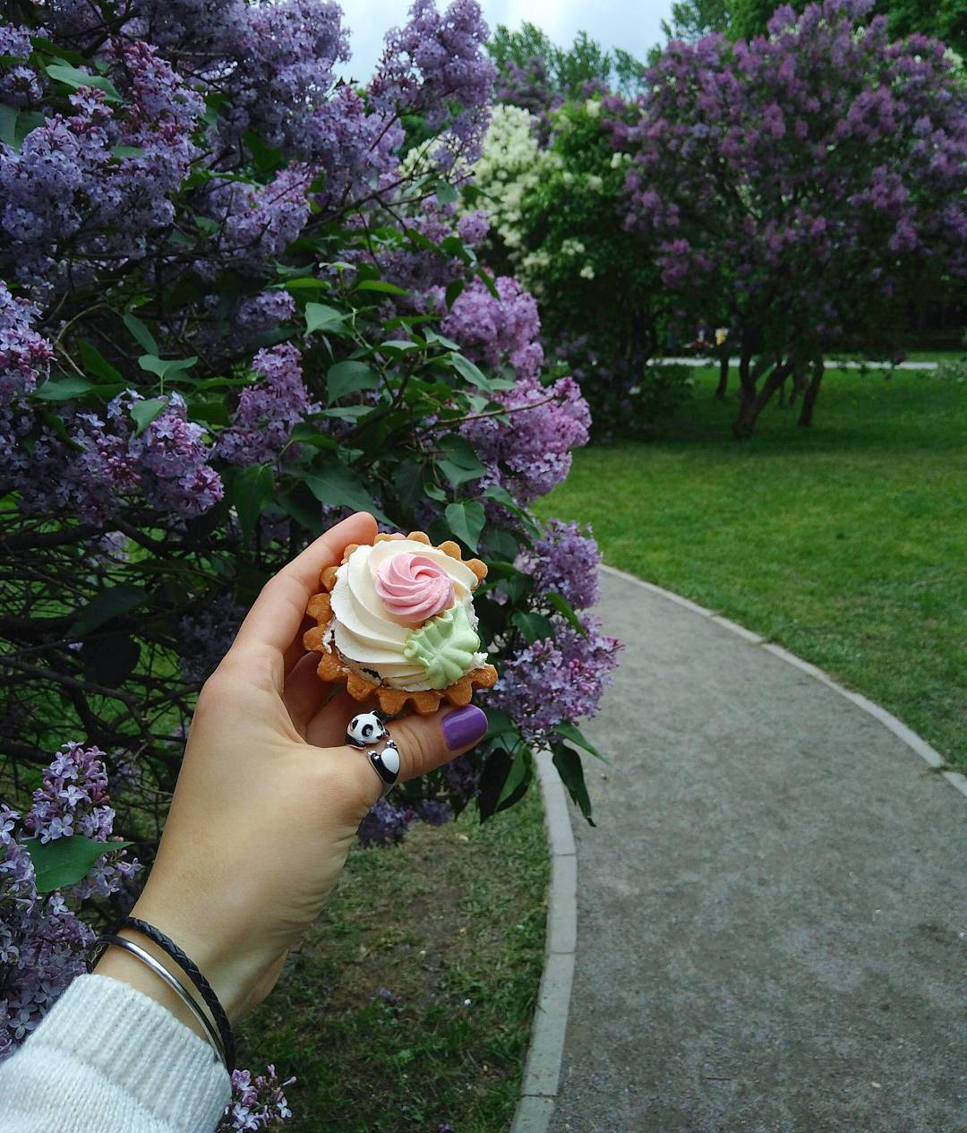 Lilac garden, Moscow????Самая большая концентрация СИРЕНИ на квадратный​ метр В МОСКВЕ, конечно же в Сиреневом саду???? Сохраняй себе, чтобы обязательно посетить это место????
Я наверное нико