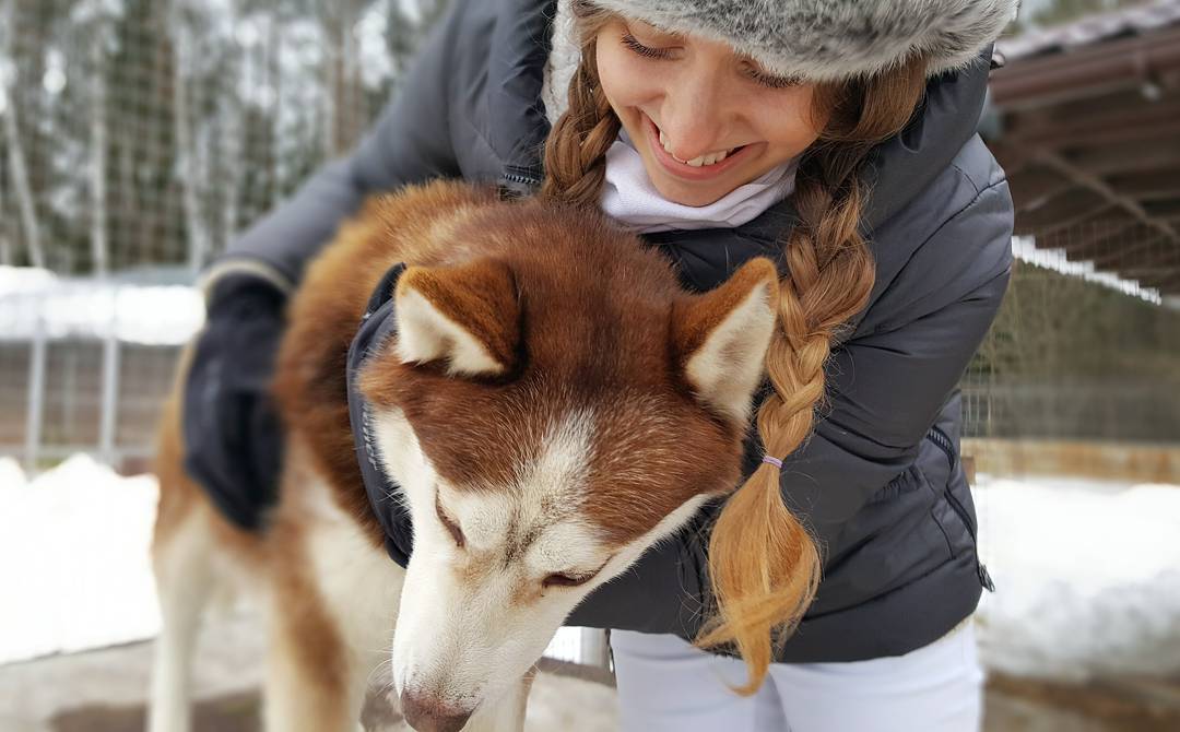 Вернувшись домой с радостью отметила новое место на карте, вот, еще один исследованный уголок Тверской области ???? Маршрут был очень насыщенным - за 2 дня мы посмотрели город Старица, посети