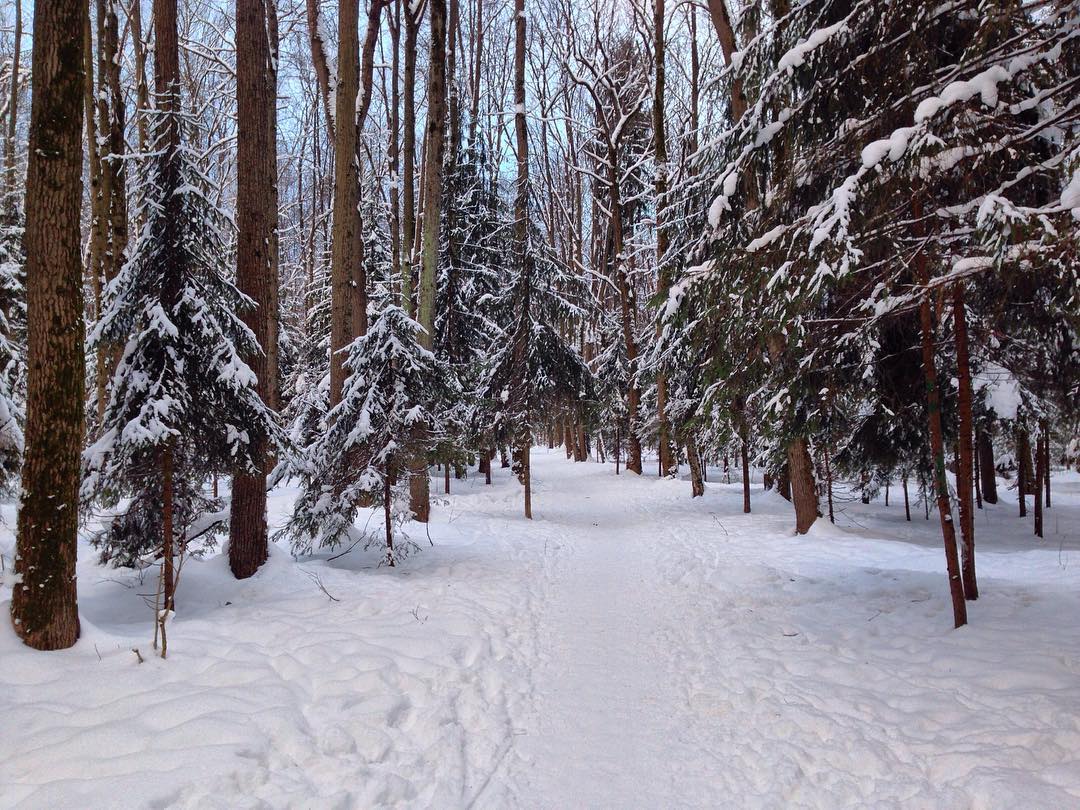 Доброе лесное утро???? // Good morning in forest????