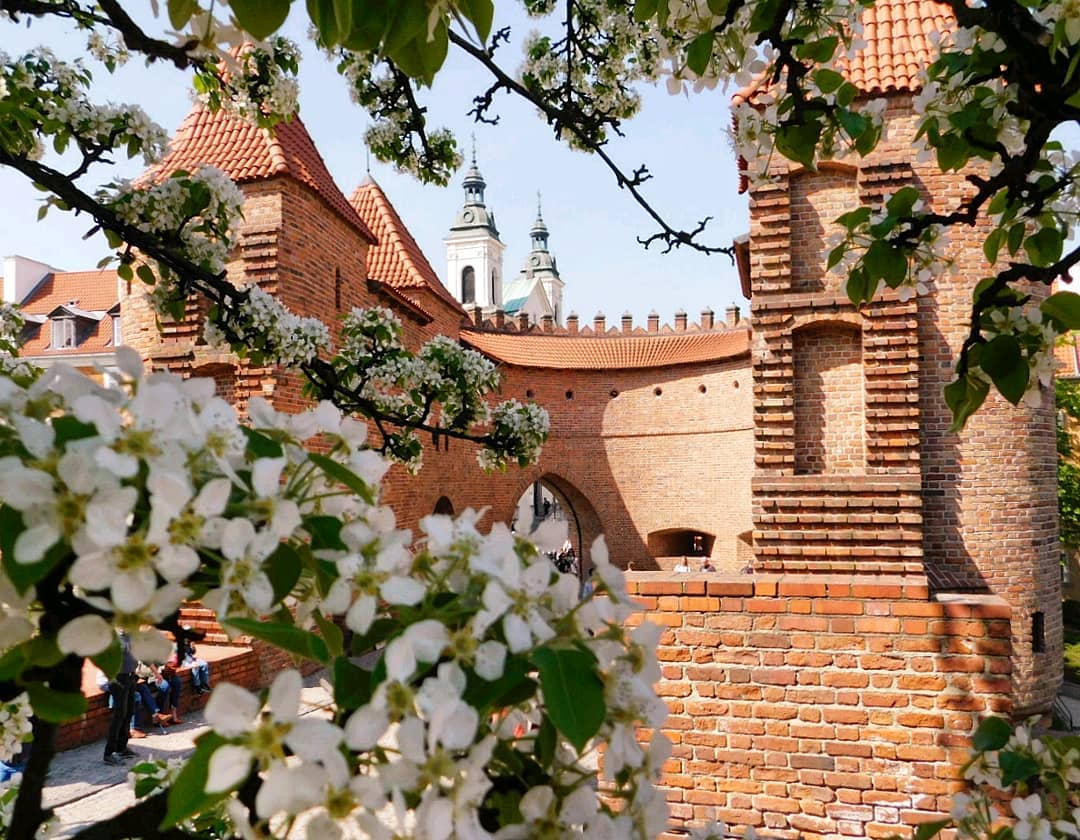 Лоукостеры Европы и нормы провоза ручной клади✈️ Спасибо за ❤️ и не забудь сохранить к себе ????
